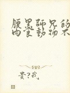 腹黑师兄的日常肉食动物不食草