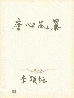 唐心风暴