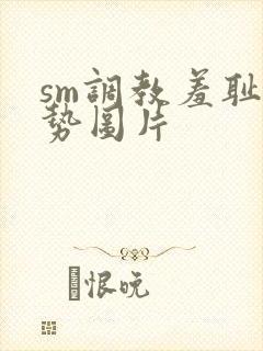 sm调教羞耻姿势图片