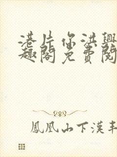 港片你洪兴仔笔趣阁免费阅读全文