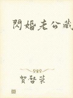 闪婚老公藏不住