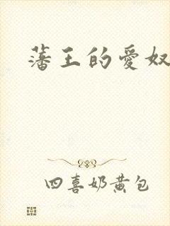 藩王的爱奴