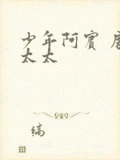 少年阿宾 房东太太