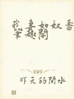 我妻如奴番外篇笔趣阁