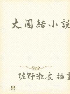 大团结小说下载