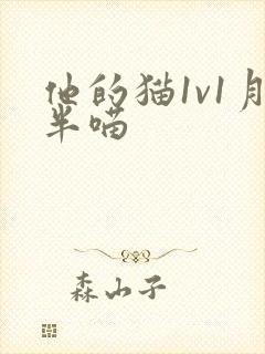 他的猫1v1月半喵