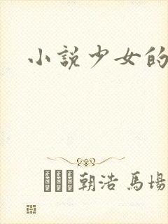 小说少女的心