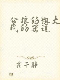 公狼的粗大挺进我的密道