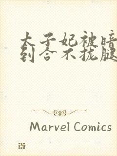 太子妃被暗卫C到合不拢腿