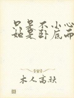 只是不小心发现她是卧底而已