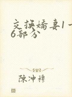 交换娇妻1一36部分