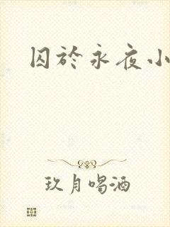囚于永夜小说