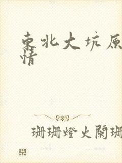 东北大坑原始激情