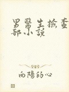 男医生检查私密部小说