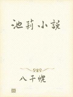 池莉小说