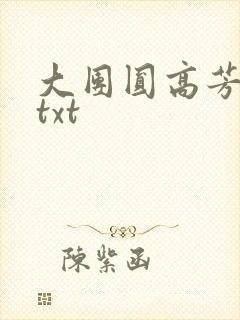 大团圆高芳小说txt