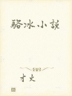 骆冰小说