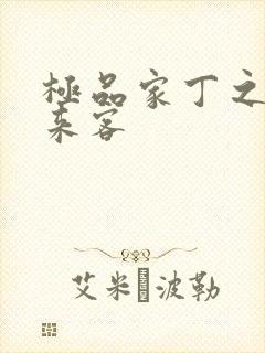 极品家丁之远方来客