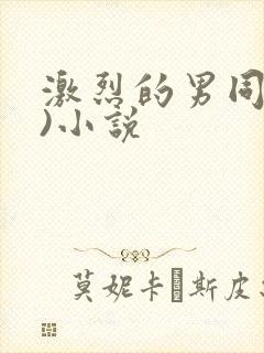 激烈的男同(h)小说