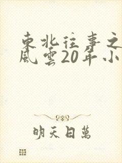 东北往事之黑道风云20年小说