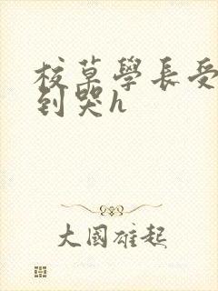 校草学长受被做到哭h