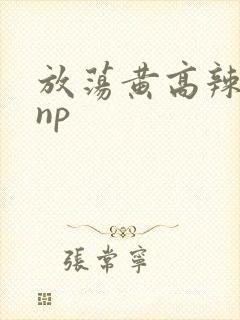 放荡黄高辣h文np
