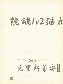 觊觎1v2猫丸