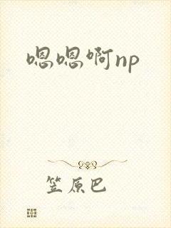 嗯嗯啊np