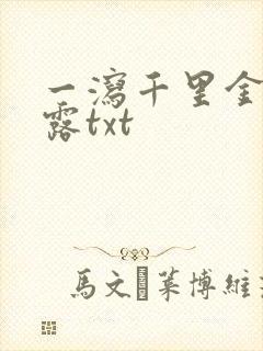 一泻千里金银花露txt