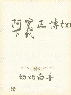 阿宾正传txt下载