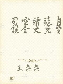 司空靖苏月汐小说全文免费阅读