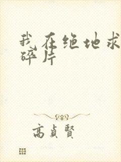 我在绝地求生捡碎片