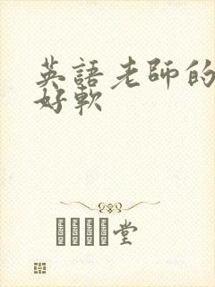 英语老师的兔子好软