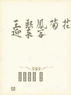 王熙凤菊花门初迎来客