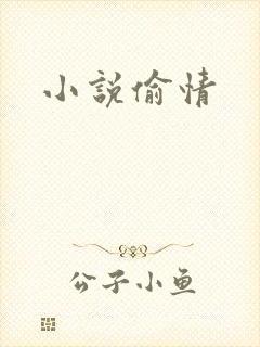 小说偷情