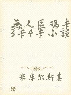 无人区码卡二卡3卡4卡小说