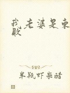 我老婆是东方不败