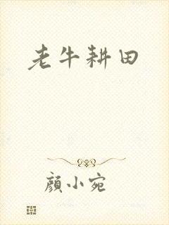 老牛耕田