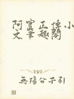 阿宾正传小说全文笔趣阁