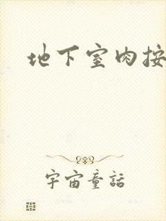 地下室肉按摩椅