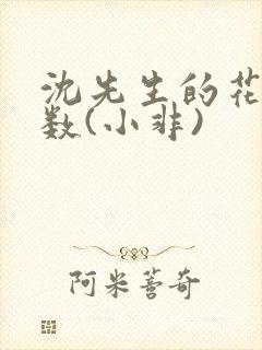 沈先生的花式调数(小非)