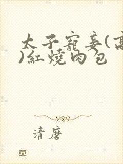 太子宠妾(高肉)红烧肉包