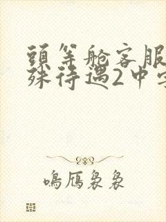 头等舱客服的特殊待遇2中字