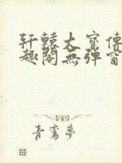 轩辕大宝传奇笔趣阁无弹窗