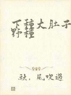 下种大肚子怀孕野种