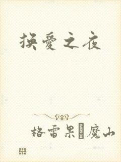 换爱之夜