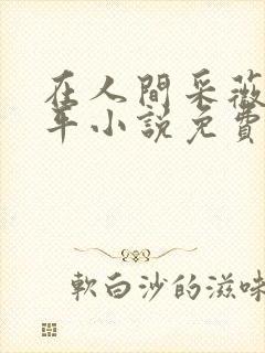 在人间采薇陆三平小说免费阅读