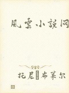 风云小说网