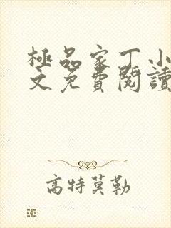 极品家丁小说全文免费阅读