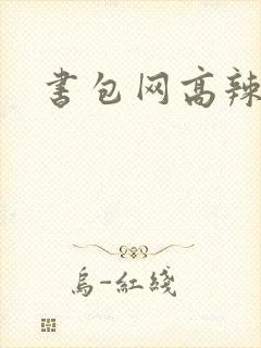 书包网高辣文